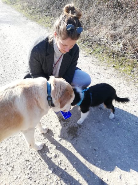 Bonny and Co Éducateur Canin (Versailles)