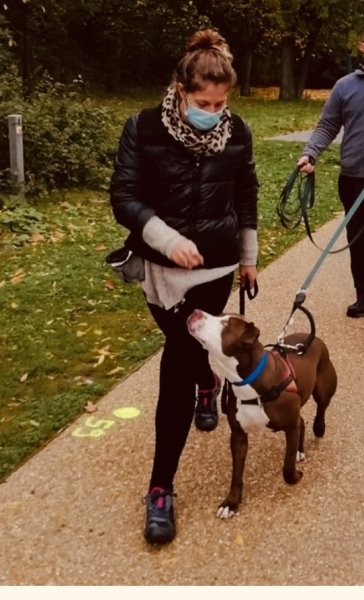 Bonny and Co Éducateur Canin (Versailles) - photo 3