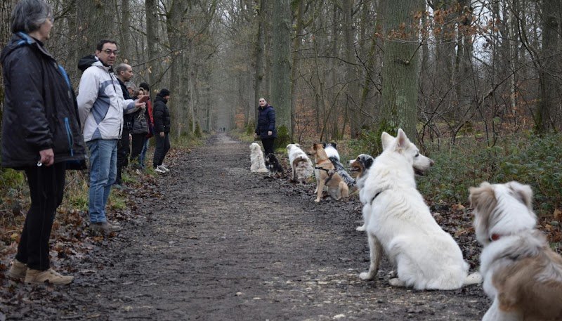 Club Canin de la Plaine de Jouars - Educhien - photo 3