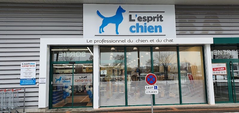 L' Esprit chien