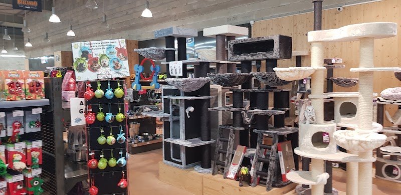 L' Esprit chien - photo 3