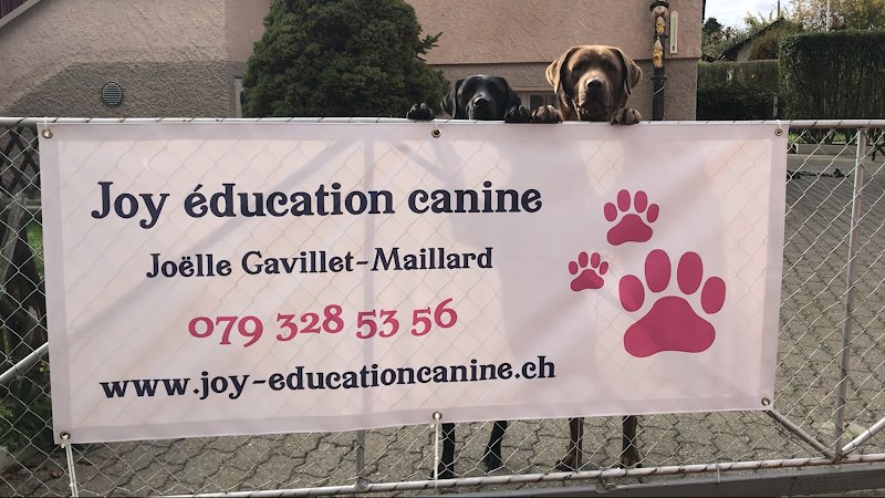 Joy éducation canine - photo 1