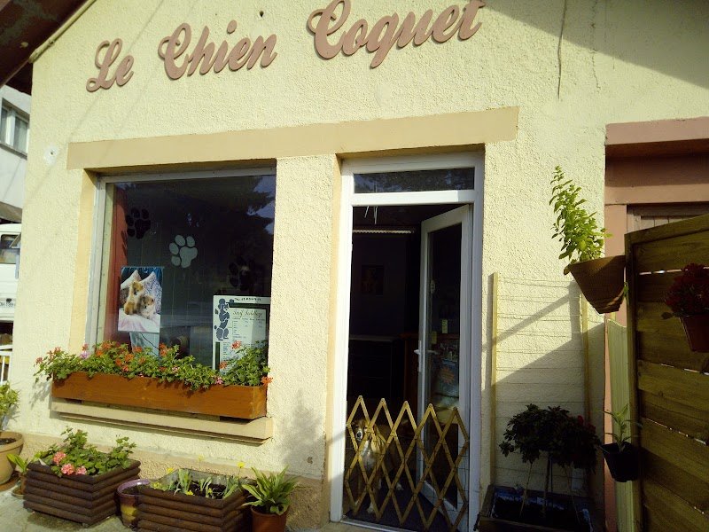 Le Chien Coquet - photo 3