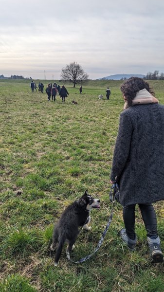 DogSerenity90 - photo 3