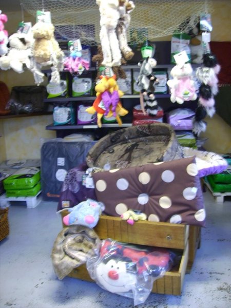 Coup Epil Dog - photo 2