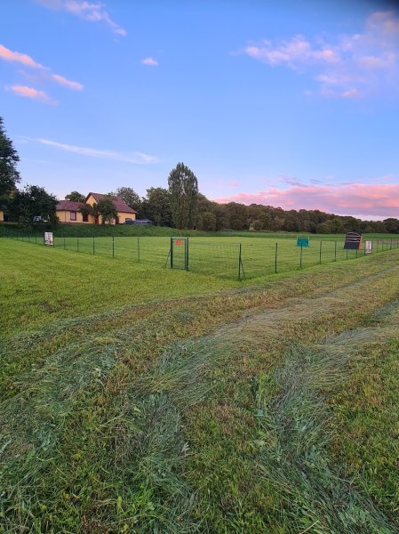 Pascal Salemi Dog Sport Training Center
