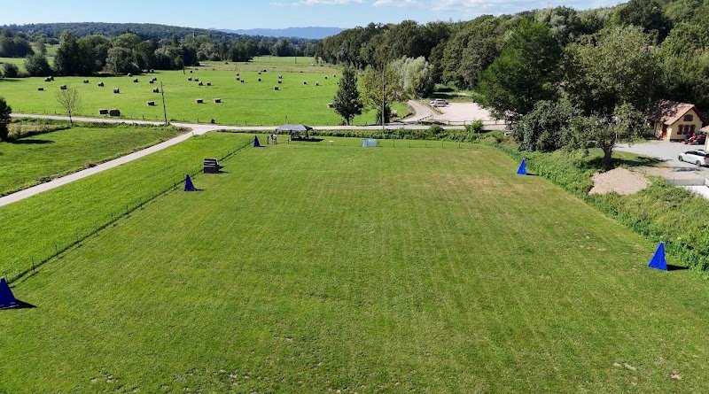 Pascal Salemi Dog Sport Training Center - photo 2