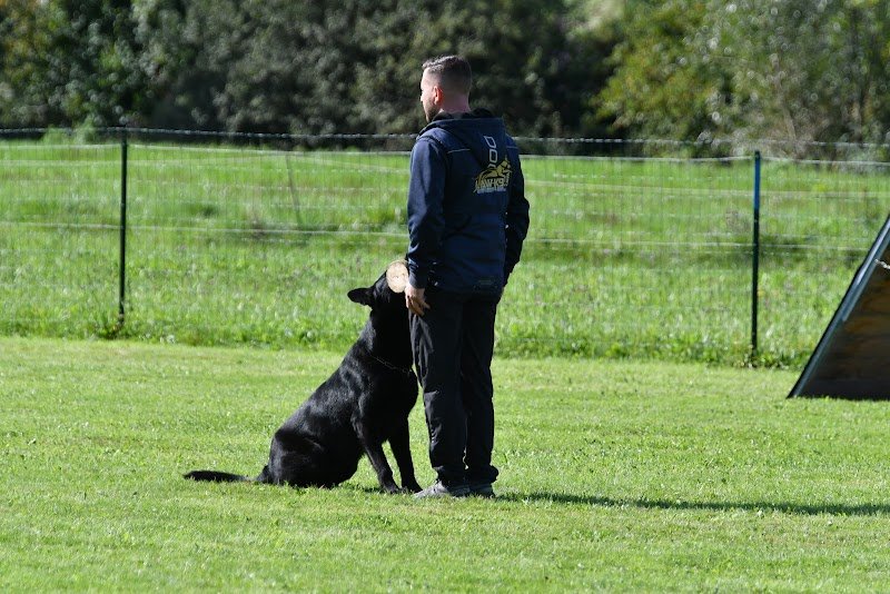 Pascal Salemi Dog Sport Training Center - photo 3