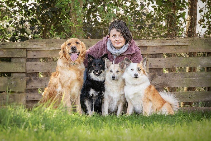 Ars Canis éducation canine - photo 1