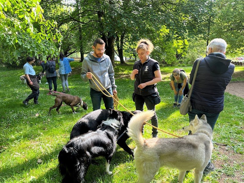 La Meute de Bretagne - Educateur et comportementaliste canin dans le Morbihan et le Finistère