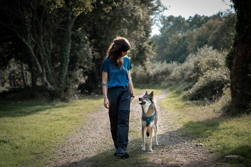 Canitopia - Educateur Canin Comportementaliste - Morbihan - photo 3