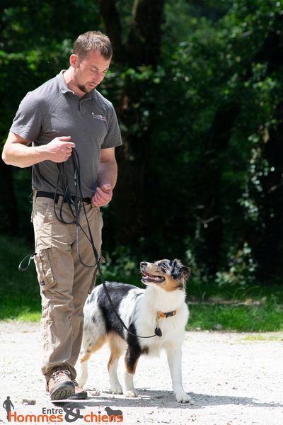 Entre Hommes et Chiens - Éducateur Canin - photo 1