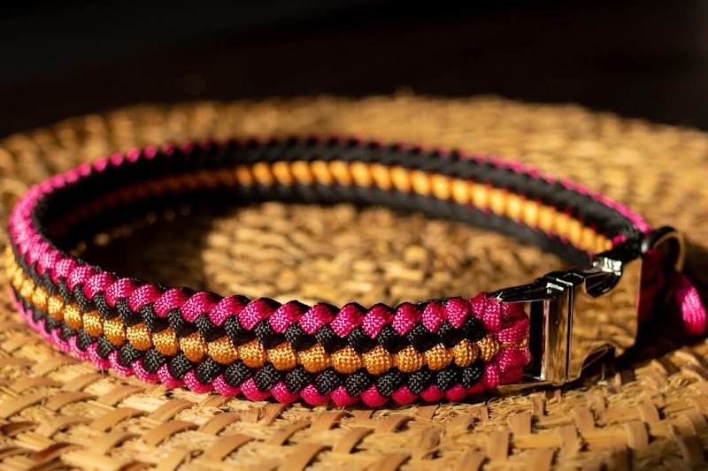 Cani’Skol Education, Pension & Loisirs Canins - photo 2