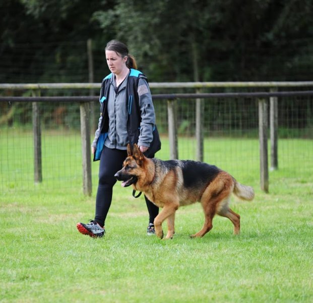 Dog Sport Educ, éducation et comportementaliste canin Auray et sa région - photo 2