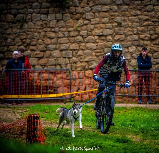 Éducateur Canin, Maxime jean breizh légende - photo 3