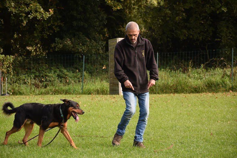 VDB - éducation canine - photo 2