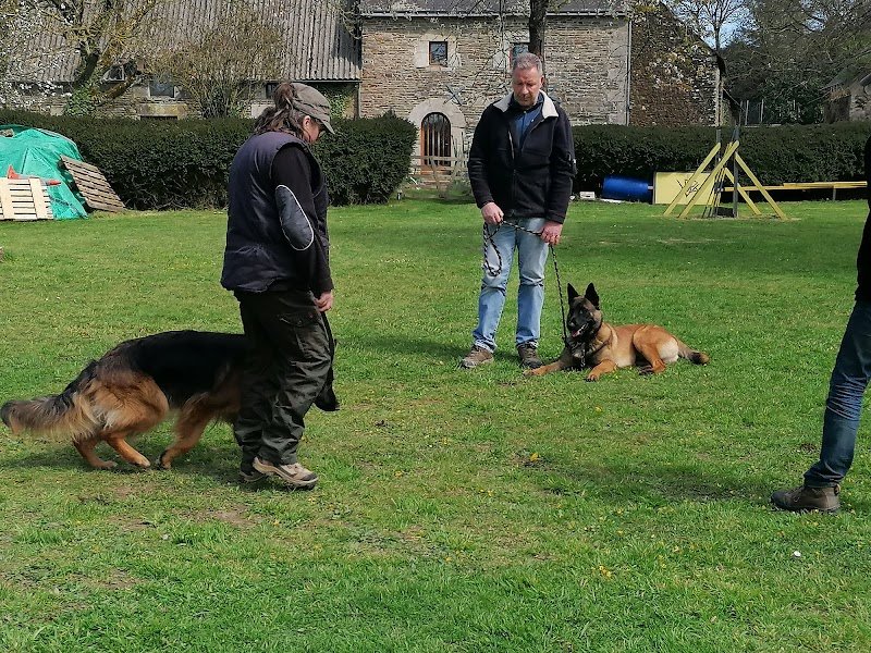 VDB - éducation canine - photo 3