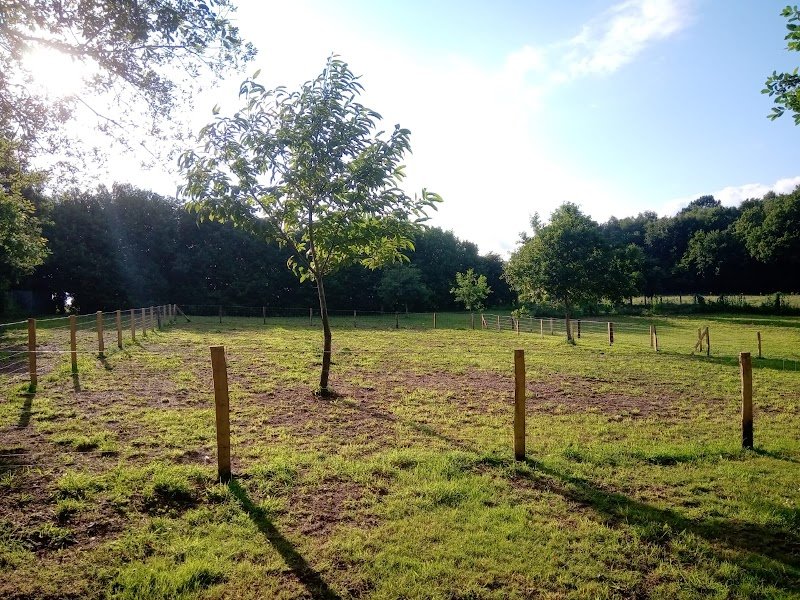 Au Temps du Chien - photo 2