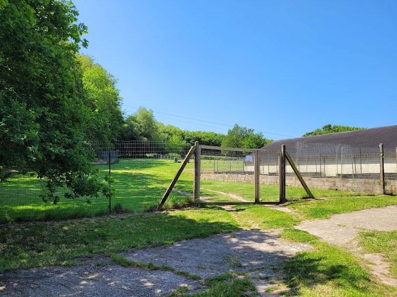 Au Temps du Chien - photo 3