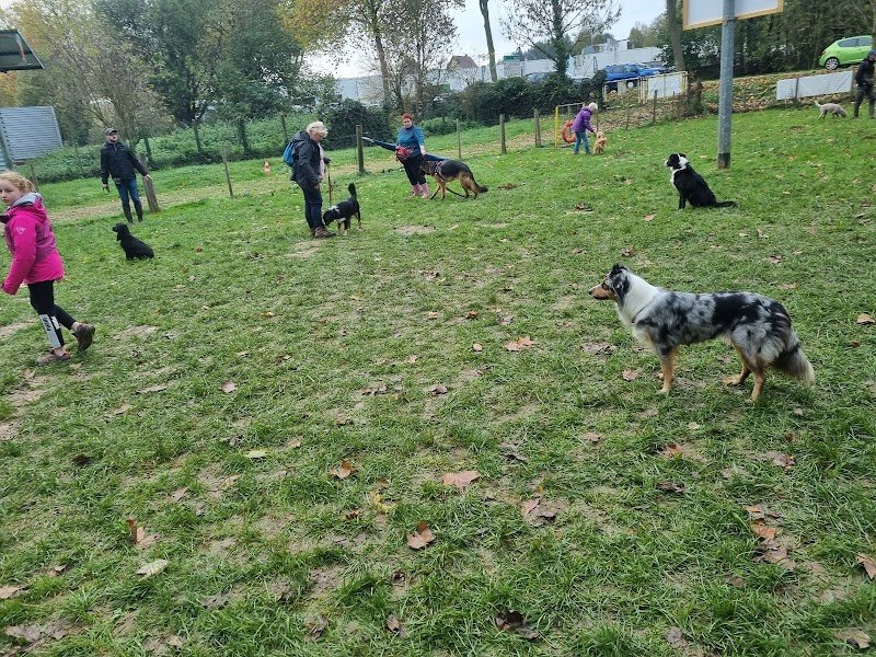 TCEC Club Canin Altkirch