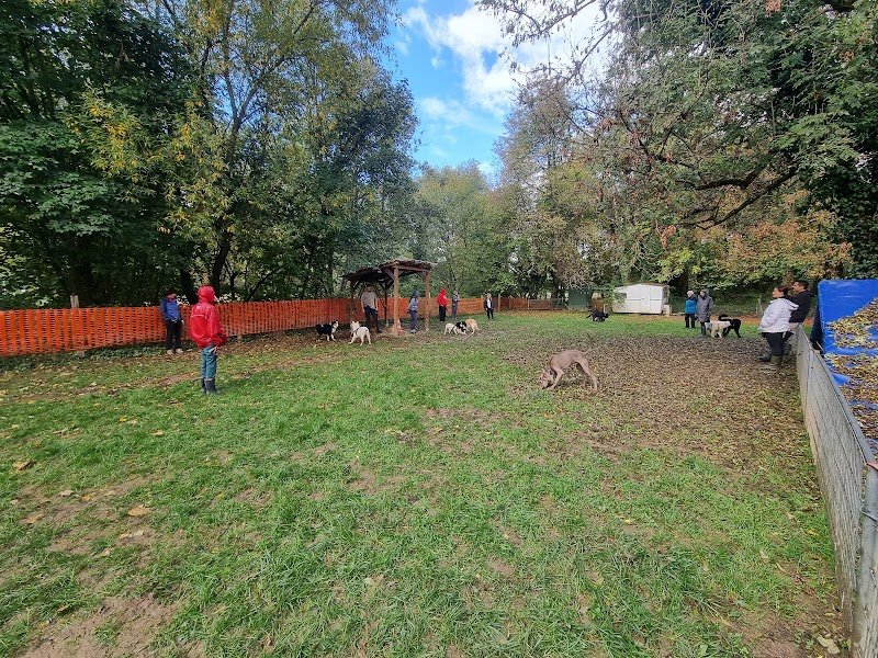 TCEC Club Canin Altkirch - photo 2