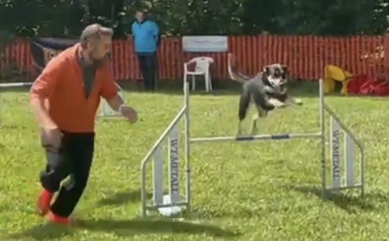 TCEC Club Canin Altkirch - photo 3