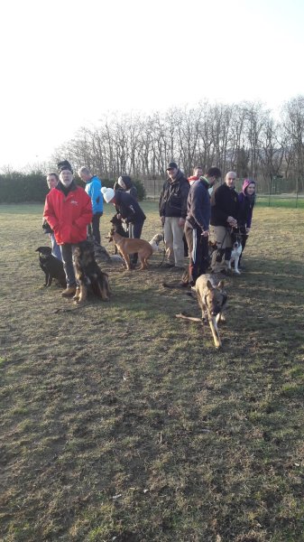 Club Canin de Cernay - photo 2