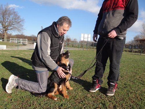 GP Conseils Pro - Patrick Grimm Comportementaliste et éducateur canin - photo 2