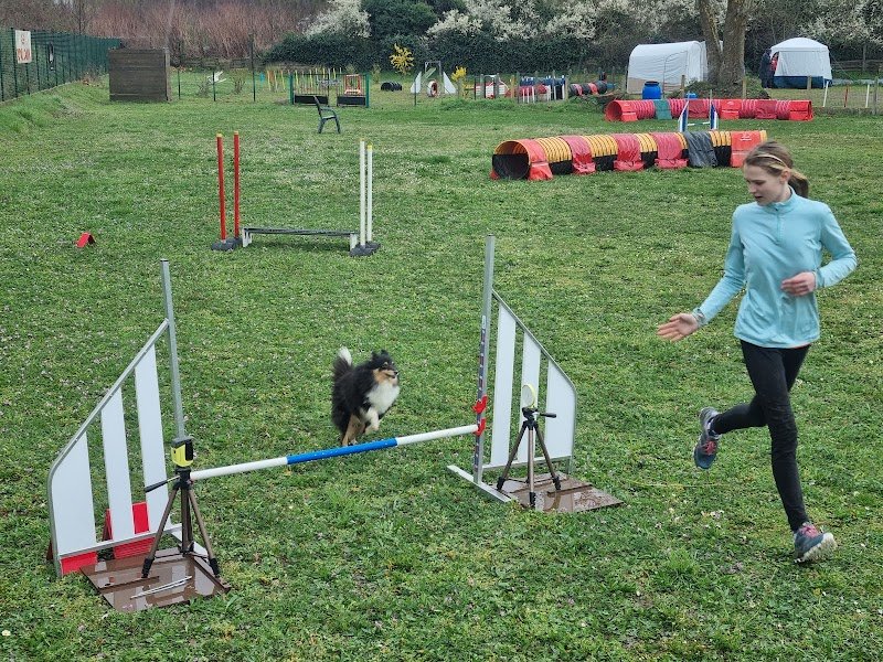 Training Club Canin de Lutterbach - photo 1