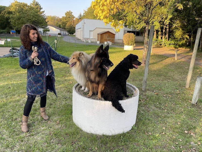 CEEPHAO - Formation de comportementaliste animalier (canin, félin, équin) & d’éducateur canin - Un programme unique en centre