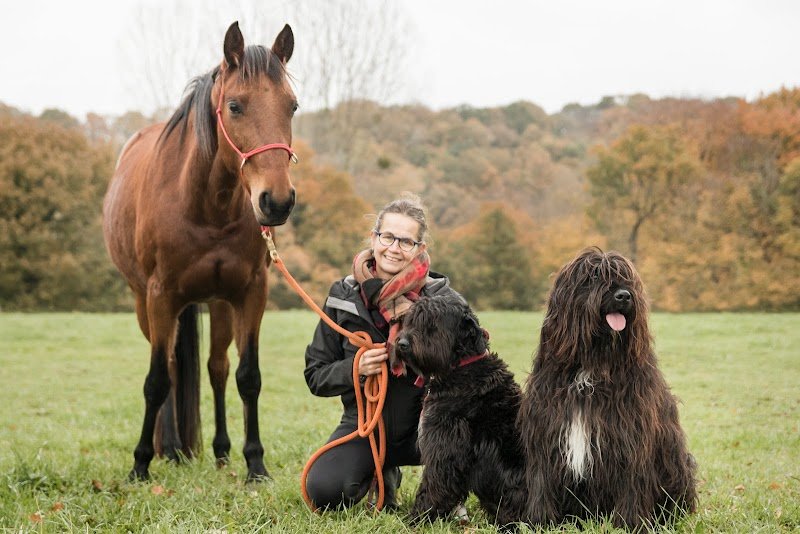 CEEPHAO - Formation de comportementaliste animalier (canin, félin, équin) & d’éducateur canin - Un programme unique en centre - photo 2