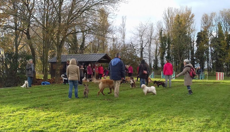 École d'Éducation Canine de Saint-Brieuc