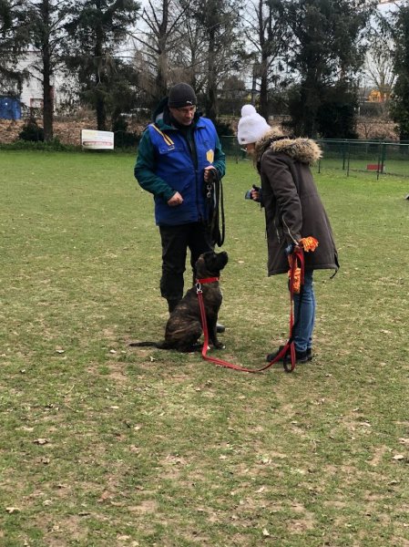 École d'Éducation Canine de Saint-Brieuc - photo 2
