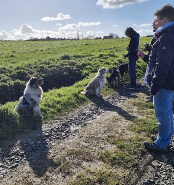 Lilwenn éducateur canin - Educ'aussie - photo 2