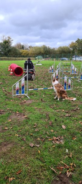 La Récréachien - photo 2
