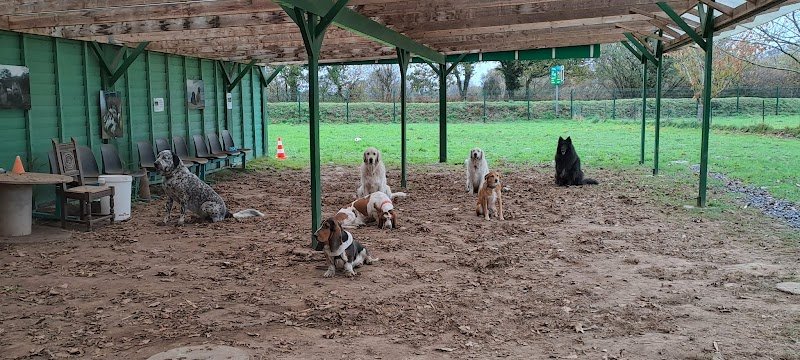 La Récréachien - photo 3