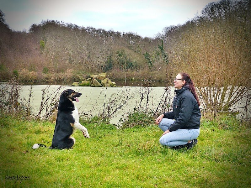 Gwenn Le Meur - Educateur Canin & Coach-comportementaliste animalier - photo 2