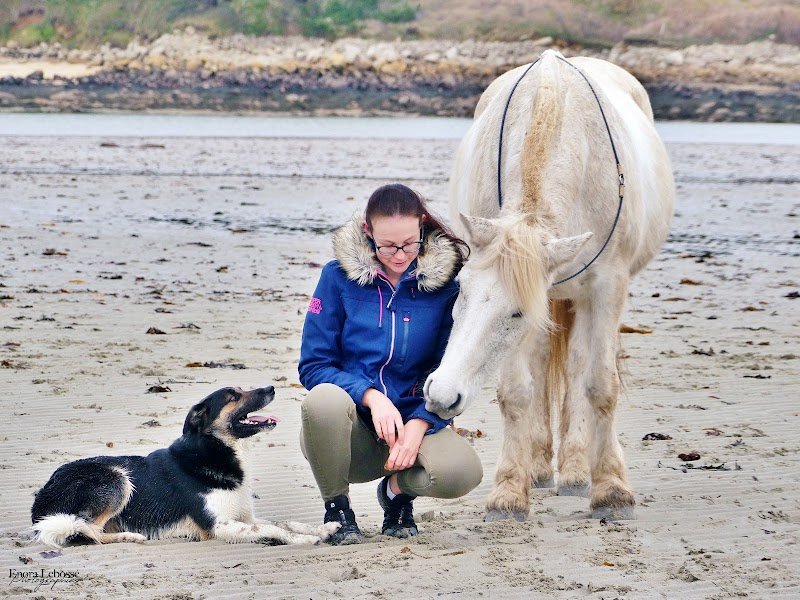 Gwenn Le Meur - Educateur Canin & Coach-comportementaliste animalier - photo 3