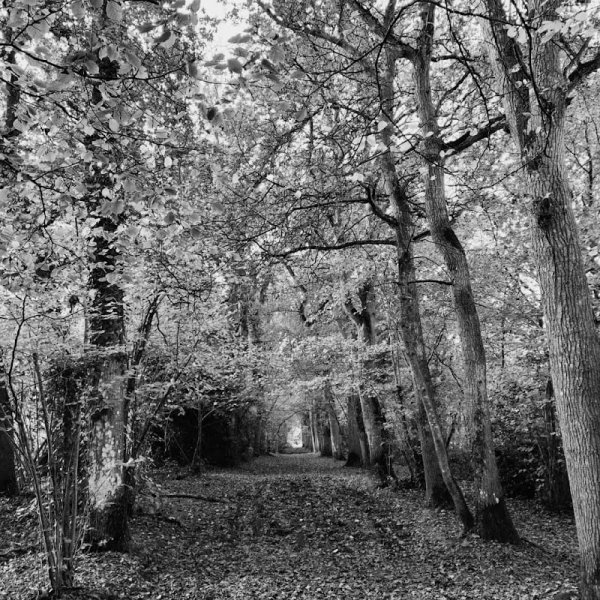 Pension canine des portes - photo 1