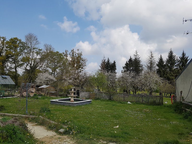 Pension canine des portes - photo 3