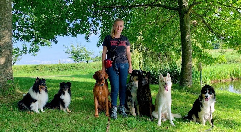 Manon Boittiaux Educateur Canin - Diplômée d'Etat - photo 3