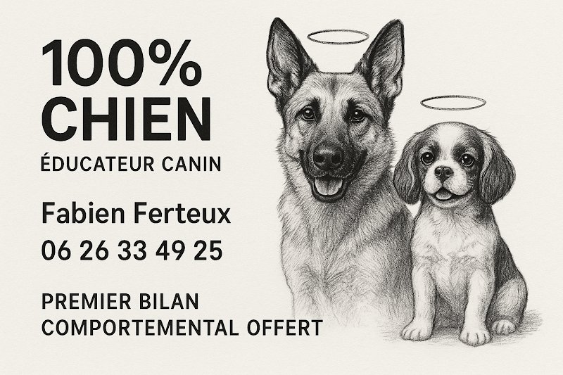 100%chien - photo 3