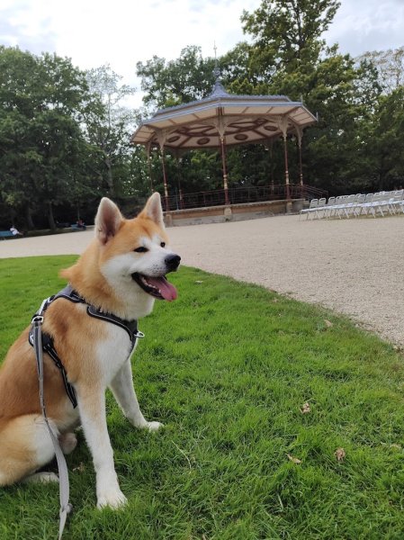 Cani Décrypt' Educateur Comportementaliste Canin - Educatrice canin