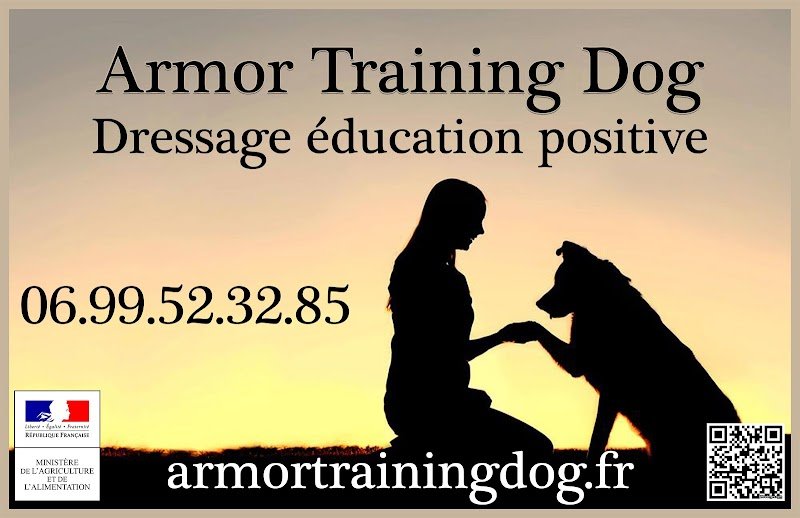Armor Training Dog - photo 1