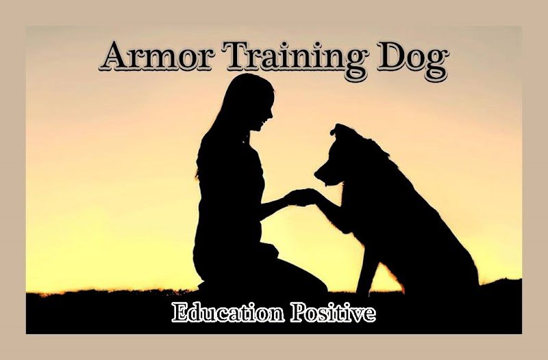 Armor Training Dog - photo 2