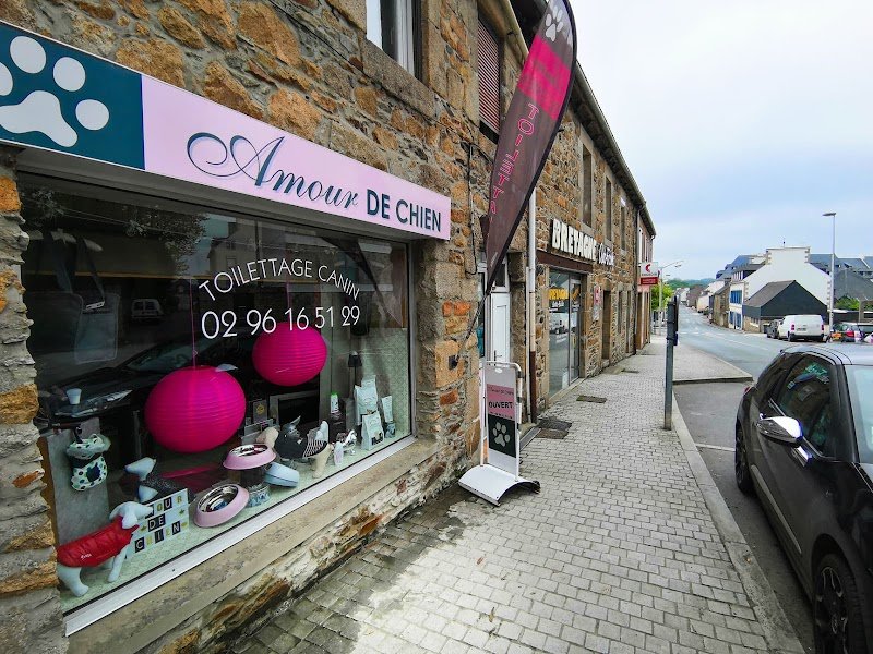 Amour de Chien - photo 3