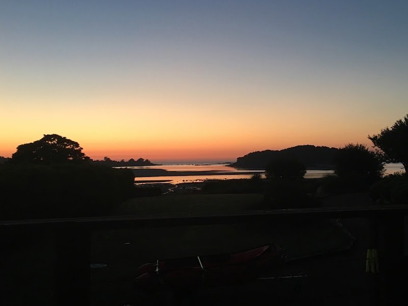 Trans Animal Compagnie. Thierry Perrio Ethocomportementaliste - photo 1