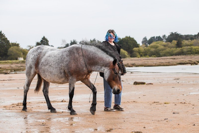 À la liberté - comportementaliste et podologue équin - photo 1