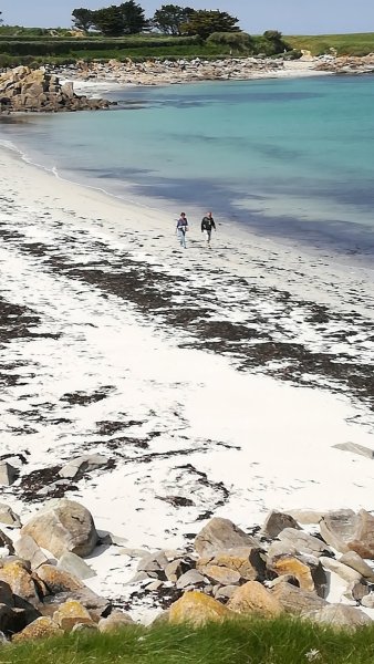 CANIN BRETAGNE - photo 1