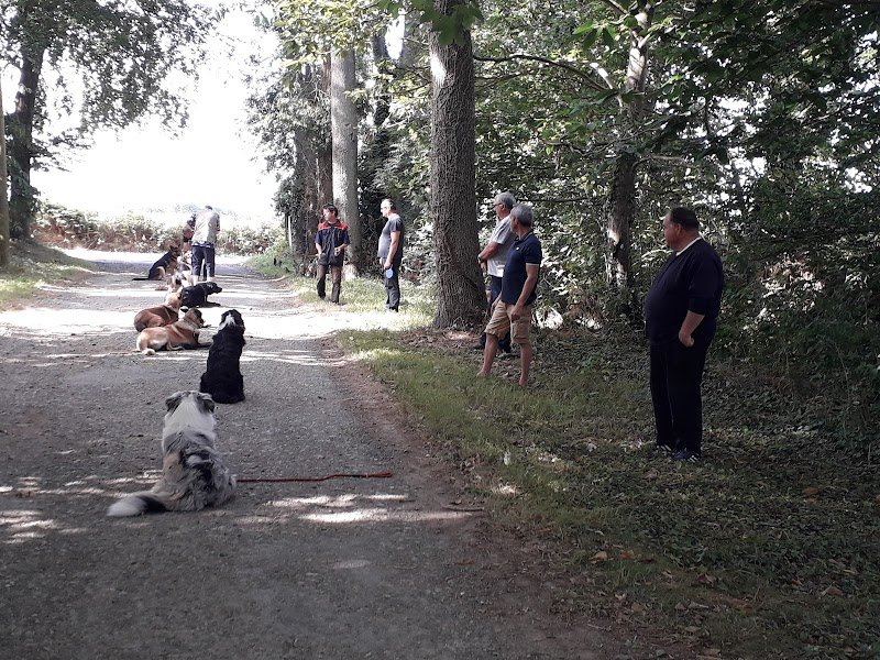 Pension de Chien L'Arche de Noël Lestic - photo 1